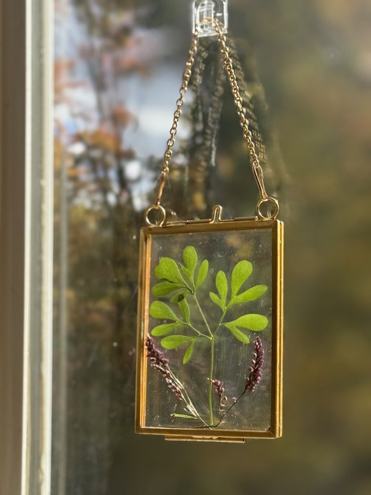 Rue (Ruta/Ruda) Suncatcher