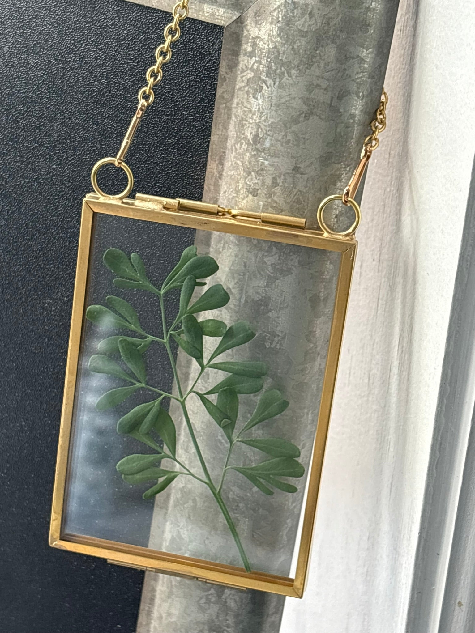 Rue (Ruta/Ruda) Suncatcher