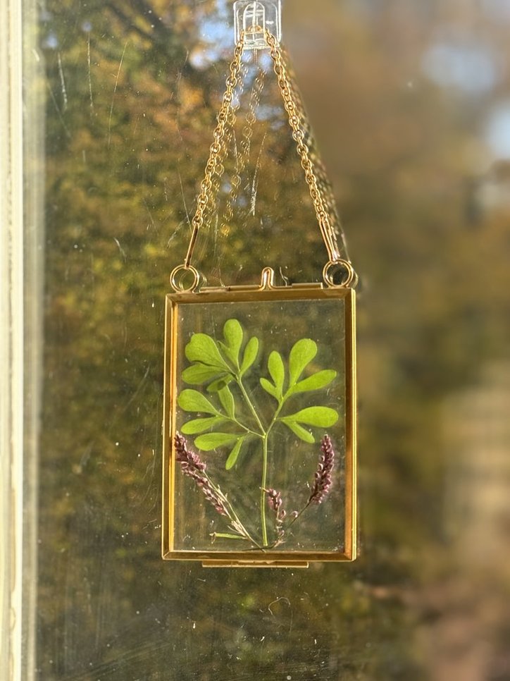 Rue (Ruta/Ruda) Suncatcher