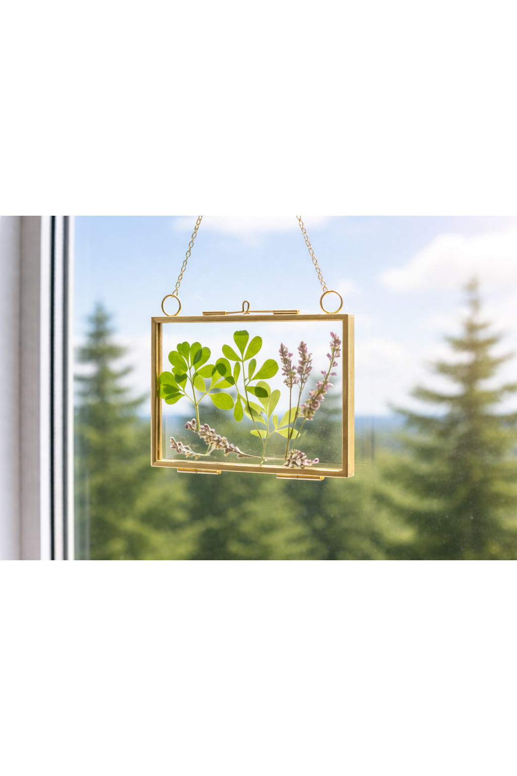 Ruta and Wildflower Suncatcher--Horizontal